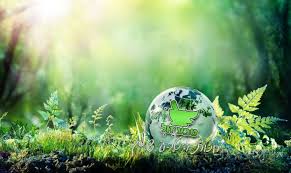 כמעט בכל מרכז קניות בירושלים יש חנות או שתיים שבהן אפשר למצוא מגוון גדול של מוצרי טבע. ×˜×'×¢ ×–×•×œ Online Home Facebook