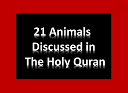 Allah says in quran that people can call him with any good names. Which Animals Are Mentioned In The Holy Quran Learn Islam