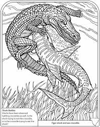 Welcome To Dover Publications Shark Coloring Pages Animal Coloring Pages Ocean Coloring Pages