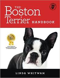 Below we've outlined the 5 steps to get you closer to having your own furman boston terrier puppy. The Boston Terrier Handbook The Essential Guide For New And Prospective Boston Terrier Owners Canine Handbooks Whitwam Linda 9781540485908 Amazon Com Books