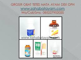 Wa O85 227 9o2o2o Paling Murah Obat Mata Ayam Petelur Berair Bogor Mata Mata Kucing Tetes Mata