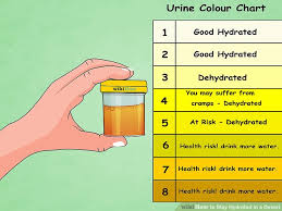 how to stay hydrated in a desert 14 steps with pictures