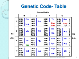 genetic code