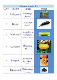 Veeramachineni Diet Plan In English Pdf Fashiontalk In