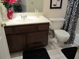 With a limited budget, you can substitute the old bathroom faucets, shower faucets, sinks and vanity with new ones. Small Bathroom Remodel On A Budget Future Expat
