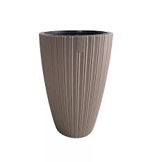 Image result for Holubia