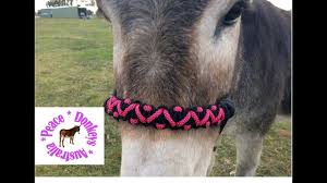 Not suitable for tying up your horse. Zig Zag Paracord Noseband For Rope Horse Halter Youtube