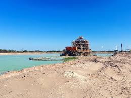 Image result for Zanthoxylum tenuipedicellatum