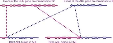 Chromosome Rearrangement An Overview Sciencedirect Topics