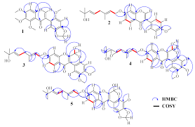 Image result for Xeroderris stuhlmannii