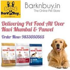 But i would suggest that you adopt a puppy who has either lost his/her mother or is sick/injured. Barknbuy In Barknbuyin Profile Pinterest