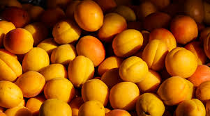 List of foods that contain vitamin b17. Apricot Seeds Do They Fight Cancer Dana Farber Cancer Institute
