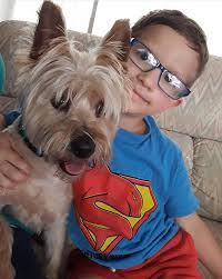 Lost dog in Oroville, blue collar with bell