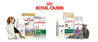 In order to dominate the pet food industry j m smucker has incorporated deep expertise and balanced offerings to meet specific health demands of the pets. Royal Canin Excellent Cat Food And Dog Food Best Online Petstore In India Buy Dog Food Online