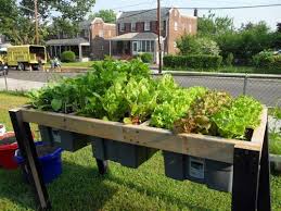 Self Watering Veggie Table Diy Raised Garden Raised Garden Home Vegetable Garden