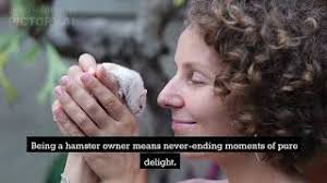 AI Tool Review of Pictory: “Video Creation Made EASY “