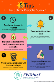 Best Time To Take Probiotics And 5 Crucial Tips For Success Fwdfuel Sports Nutrition Probiotics Sports Nutrition Nutrition Recipes