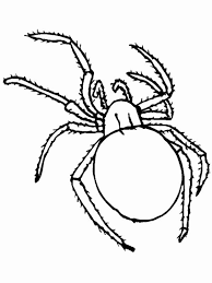 Insect Bugs Spider Coloring Page Coloring Sun Spider Coloring Page Spider Pictures Coloring Pages