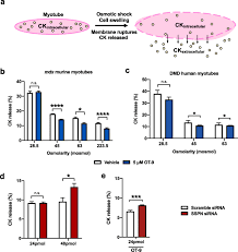 National education savings scheme (sspn) account holders will receive a four per cent annual dividend for 2020. High Throughput Screening Identifies Modulators Of Sarcospan That Stabilize Muscle Cells And Exhibit Activity In The Mouse Model Of Duchenne Muscular Dystrophy Springerlink