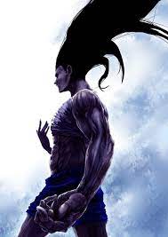 Please stay out of the ladies' restroom. Gon Killua Transformation Novocom Top