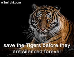On this special occasion, we have compiled a list of wishes, images and quotes you can share with your mother on this day. International Tiger Day Quotes International Tiger Day Quotes