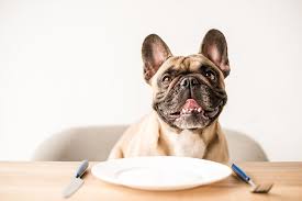 However, no dogs are completely hypoallergenic, some breeds just shed less and have less dander than others. The Best Food For French Bulldogs Health Allergies And Brands