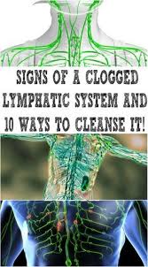 Signs Of A Clogged Lymphatic System And 10 Ways To Cleanse It Healthy Lymphatic System Lymphatic System Lymph Massage