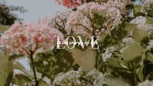 Check spelling or type a new query. Quote Desktop Wallpaper Maker Create A Beautiful Desktop Wallpaper Online Fotor