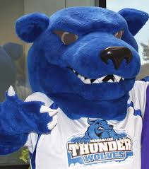 Daemen college is a private college in amherst, new york. Suny Mascot Madness