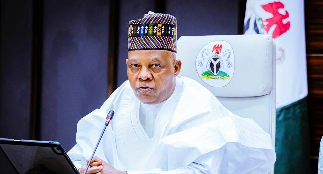 You can fix electricity without FG - Shettima tells governors