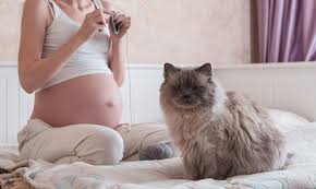 Apakah bagus pijatan untuk meredakan batuk pada anak? Bahaya Toksoplasma Bagi Kehamilan Serta Cara Mencegahnya Popmama Com