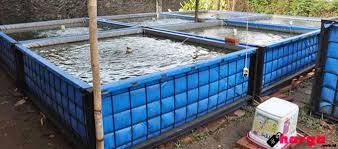 Kolam Terpal Daftar Harga Tarif