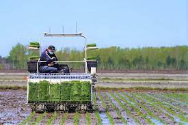 Sains dan teknologi sangat memudahkan para petani untuk menghasilkan kualiti hasil tanaman lebih bagus di samping meningkatkan kuantiti hasil pertanian. Contoh Penerapan Artificial Intelligence Dan Cloud Di Bidang Pertanian Semua Halaman Info Komputer