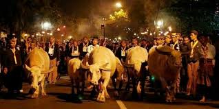 Bagi yang berminat bisa menhubungi panitia. Pgrkragvoot62m