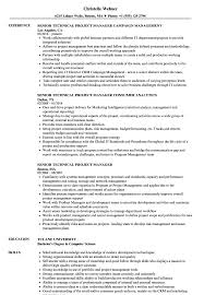 Aws cloud certified technical manager with overall 13+ years of it experience. Senior Technical Project Manager Resume Samples Velvet Jobs