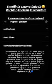 Sefirin Kizi Adli Kullanicinin Sak Panosundaki Pin Sira Mutlu Ikiz