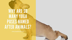 Check spelling or type a new query. Why Are So Many Yoga Poses Named After Animals Yoga Fever