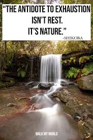Instagram best quotes for profile picture. 100 Nature Captions Which Are Perfect For Your Instagram Pics Walk My World