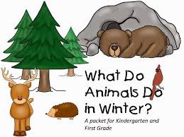 Animals In The Winter Clip Art Google Search Winter Activities For Toddlers Winter Animals Hibernation Preschool