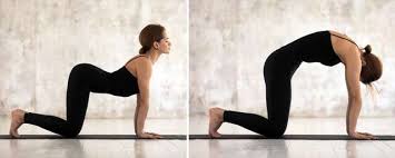 We did not find results for: Yoga Poses To Get Rid Of Back Pain Femina In