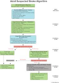 Acls Algorithms You Need To Know