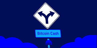 As bitcoin is the parent of bch, it is certain that bch will never go into oblivion. Bitcoin Cash Hard Fork On November 15 What Kraken Clients Need To Know Kraken Blog