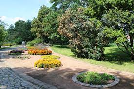 Botanischer garten blick auf den europaturm stadt frankfurt am main foto. Botanischer Garten Frankfurt Oder Seenland Oder Spree Frankfurt Oder