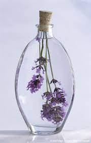 Lavender In Glass Bottle Of Lavender Oil Lavender Crafts Lavender Flowers Lavender Aesthetic