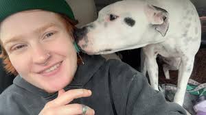 Car Spotting in Houston Area, Porsche Sighting