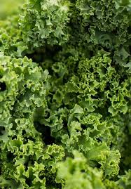 Vegetables that lower blood sugar levels. Role Of Vegetables In Human Nutrition And Disease Prevention Intechopen