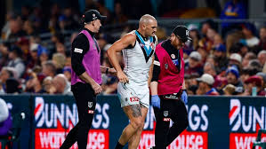 afl.com.au - News update