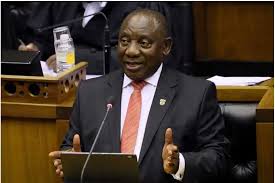 President cyril ramaphosa sold nine cattle worth r2.7 million at an auction last week. Lth67fpd0fd1um