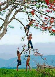  Thai Children Have No Fear At All Children Photography Photo Nature Photography