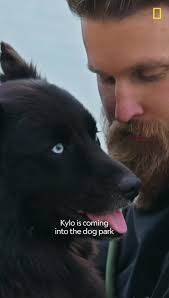 New Episode of Better Human Better Dog tonight,